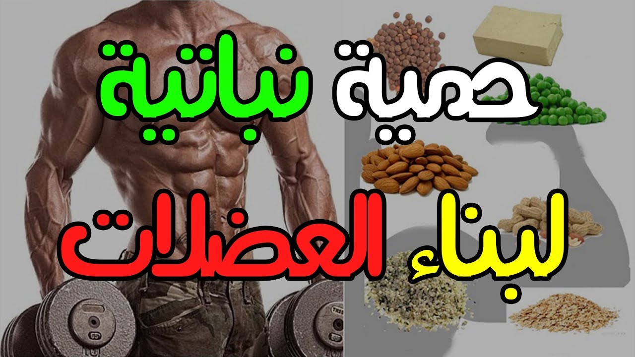 البروتين النباتي لكمال الاجسام 1716