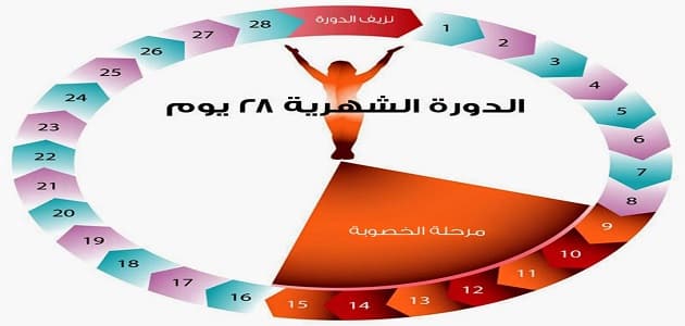 الايام التي يحدث فيها الحمل - ما عقول كل دى معلومات عن ايام الحمل 2894 3