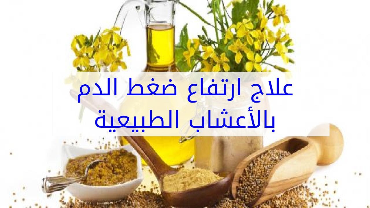 علاج ارتفاع الضغط بالاعشاب , اعشاب مهمه لعلاج الدم المرتفع