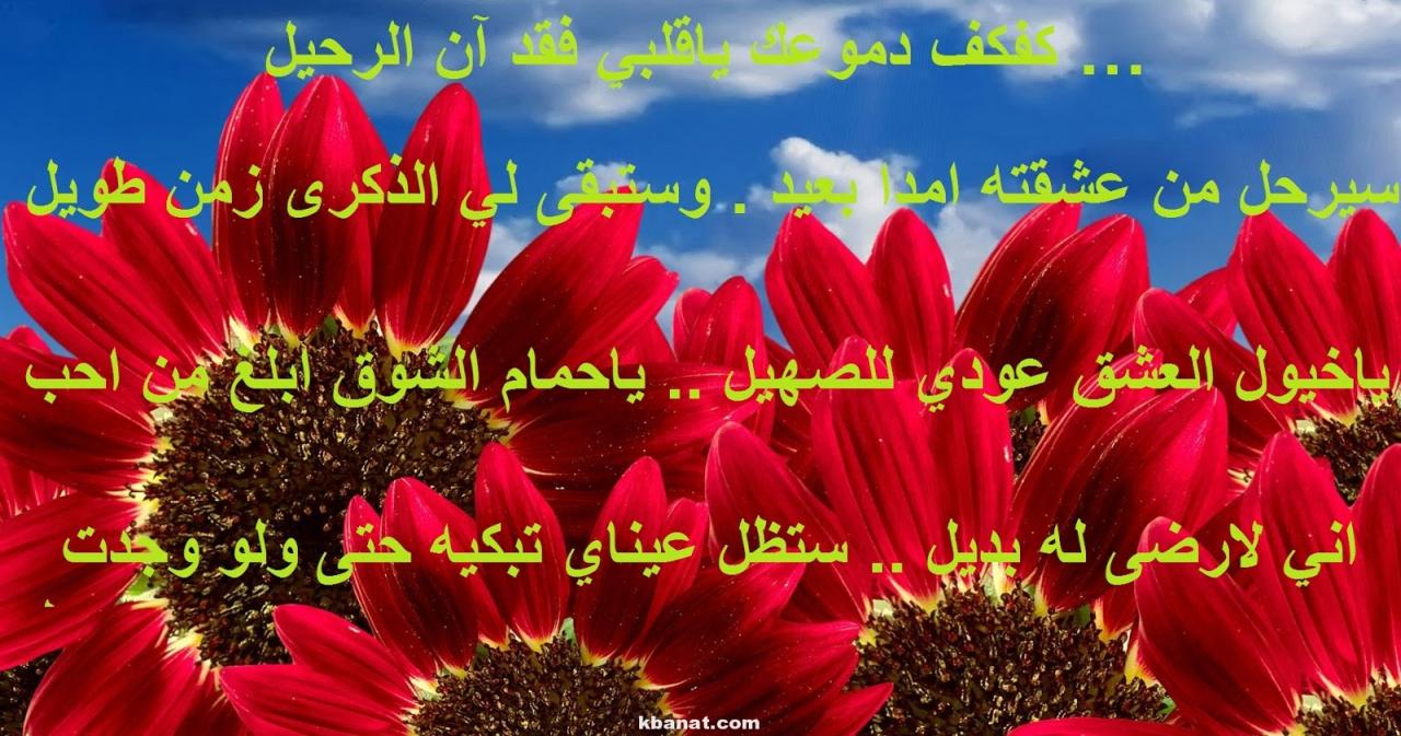 رسائل للزوج مثيره , اروع الكلمات لشريك الحياه