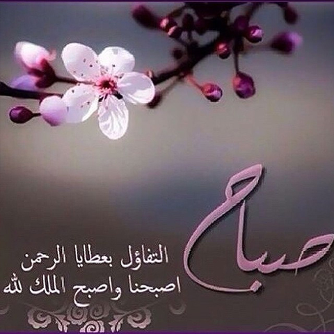 صباح الخير ورود- اجمل صور- 9273 8