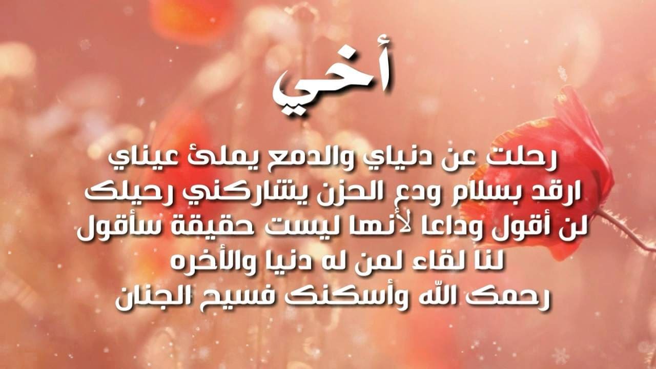 ما معنى الاخوة - المعنى الصحيح والادق للاخوة 979