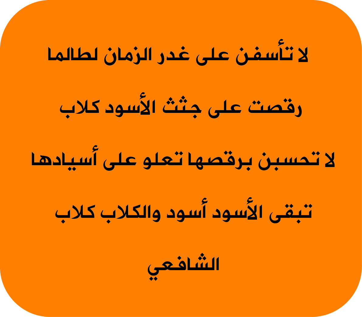 تبقى الاسود اسود والكلاب كلاب القصيدة كاملة - قصيده فى رثاء اسد 3585