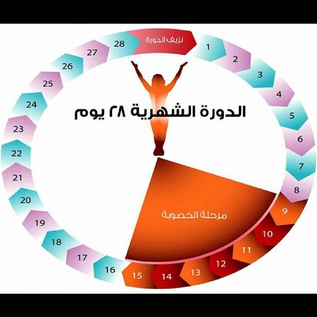 تنظيم الدورة الشهرية - اسباب عدم انتظام دورتك الشهرية وعلاجها بالاعشاب 2398 3