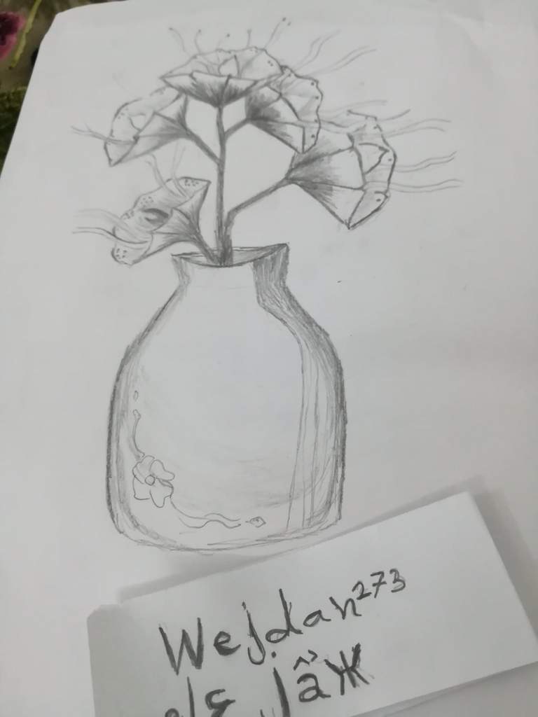 رسم مزهرية ورود بالرصاص 1486 3