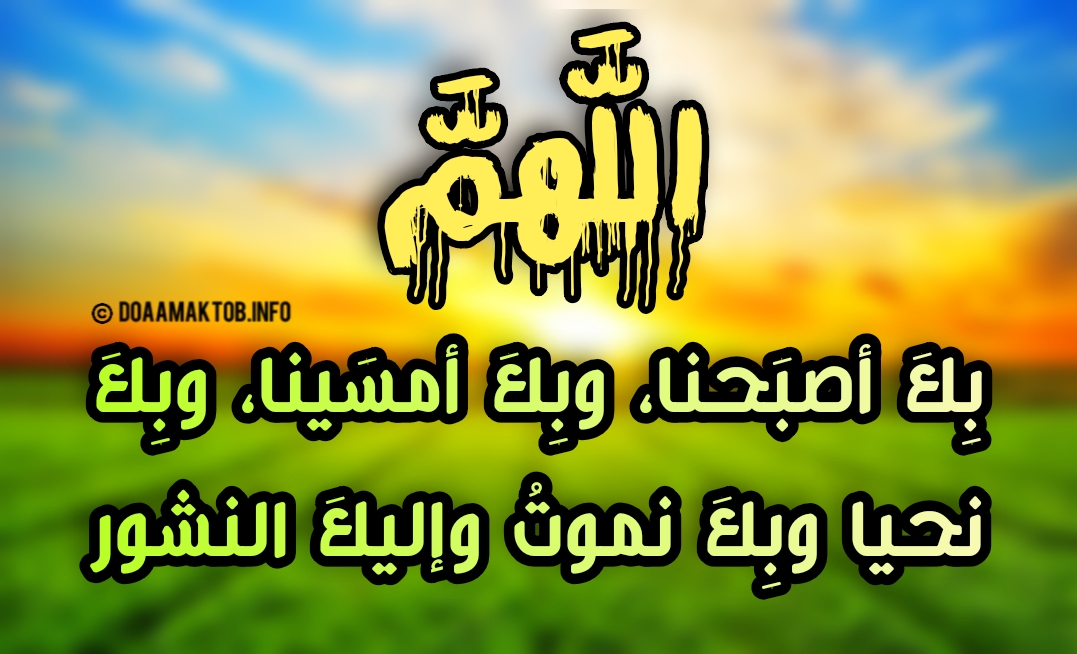 صباح الخير ورود- اجمل صور- 9273 4