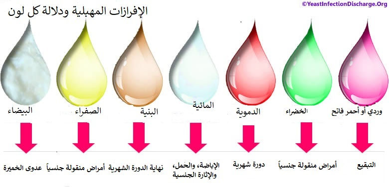 اسباب كثرة الافرازات المهبلية الشفافة عند البنات , لماذاهذه الافرازات , 