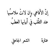 من روائع الشعر الجاهلى - من اجمل ما لمس القلب من اشعار الجاهلية 2230 1