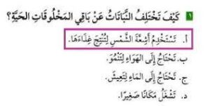 كيف تختلف النبات عن باقي المخلوقات الحيه , هل تختلف النبات عن المخلوقات الحيه ام لا