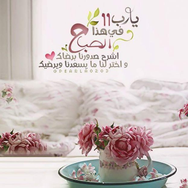 صباح الخير ورود- اجمل صور- 9273 1