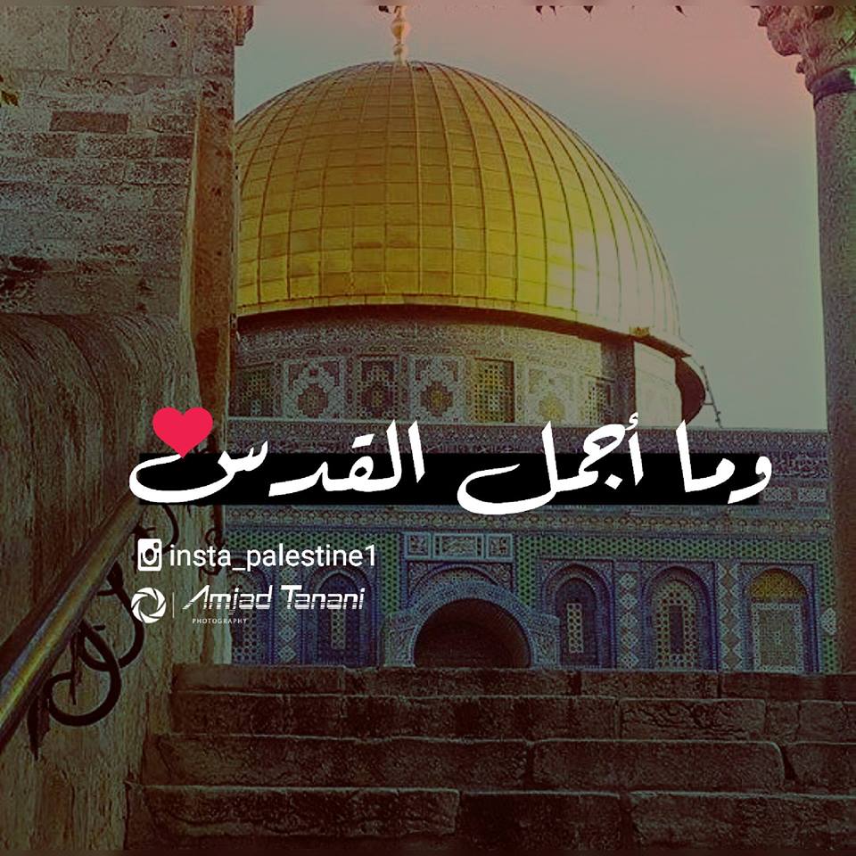 اقوال عن القدس - ما اجمل الشعر فيكي يا قدس 3371 4