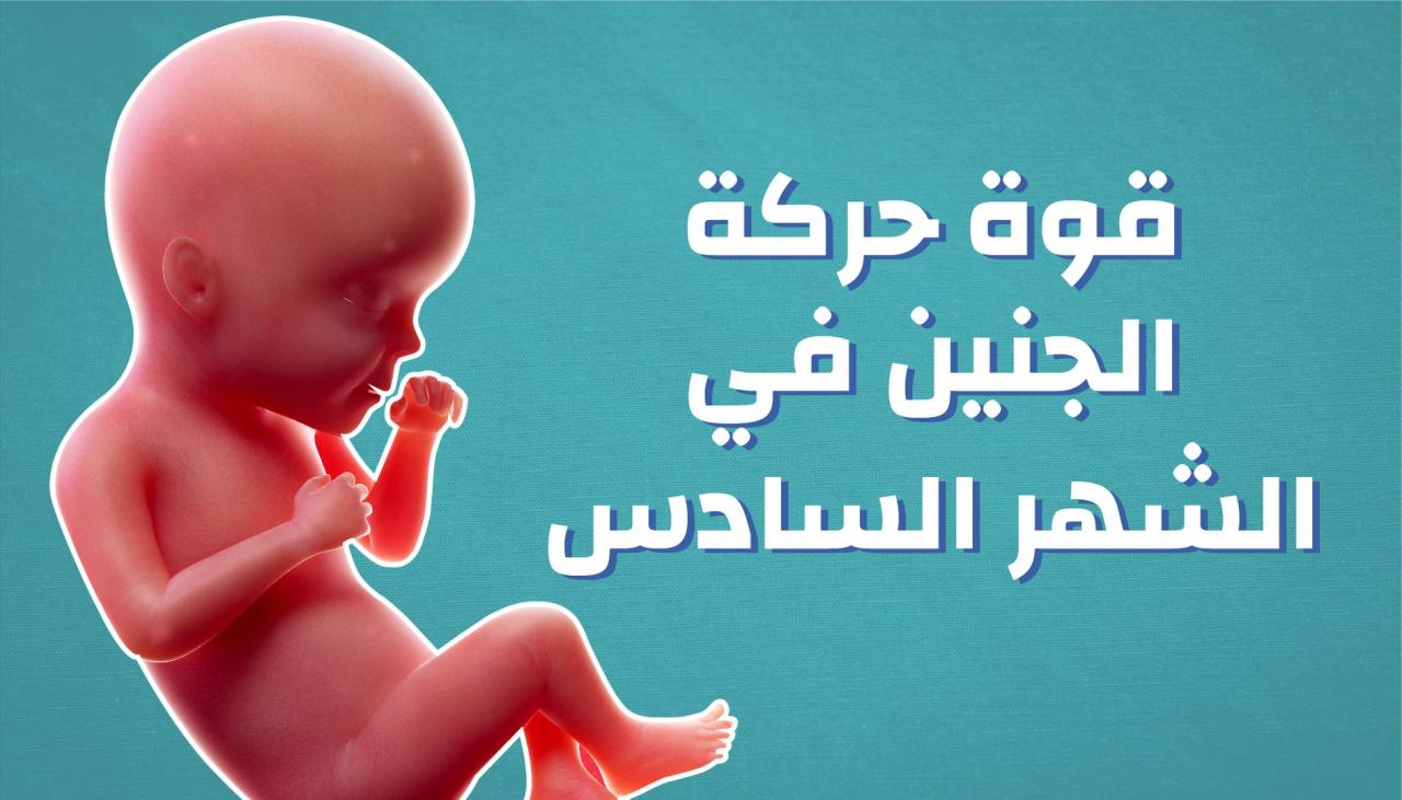 تحركات الجنين في الشهر السادس , لكل ام لازم تتعرف على تحركات جنينها